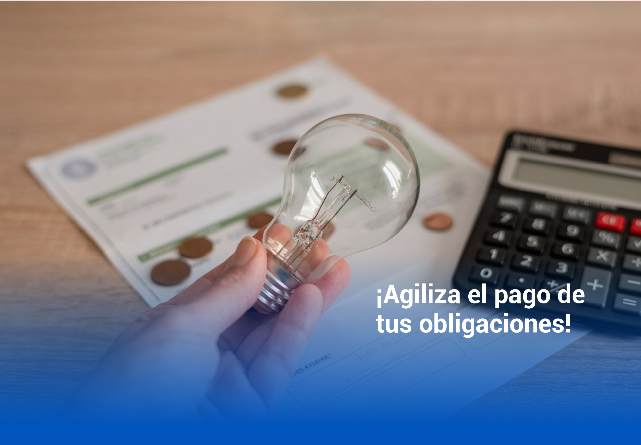 Pagos de Servicios Públicos