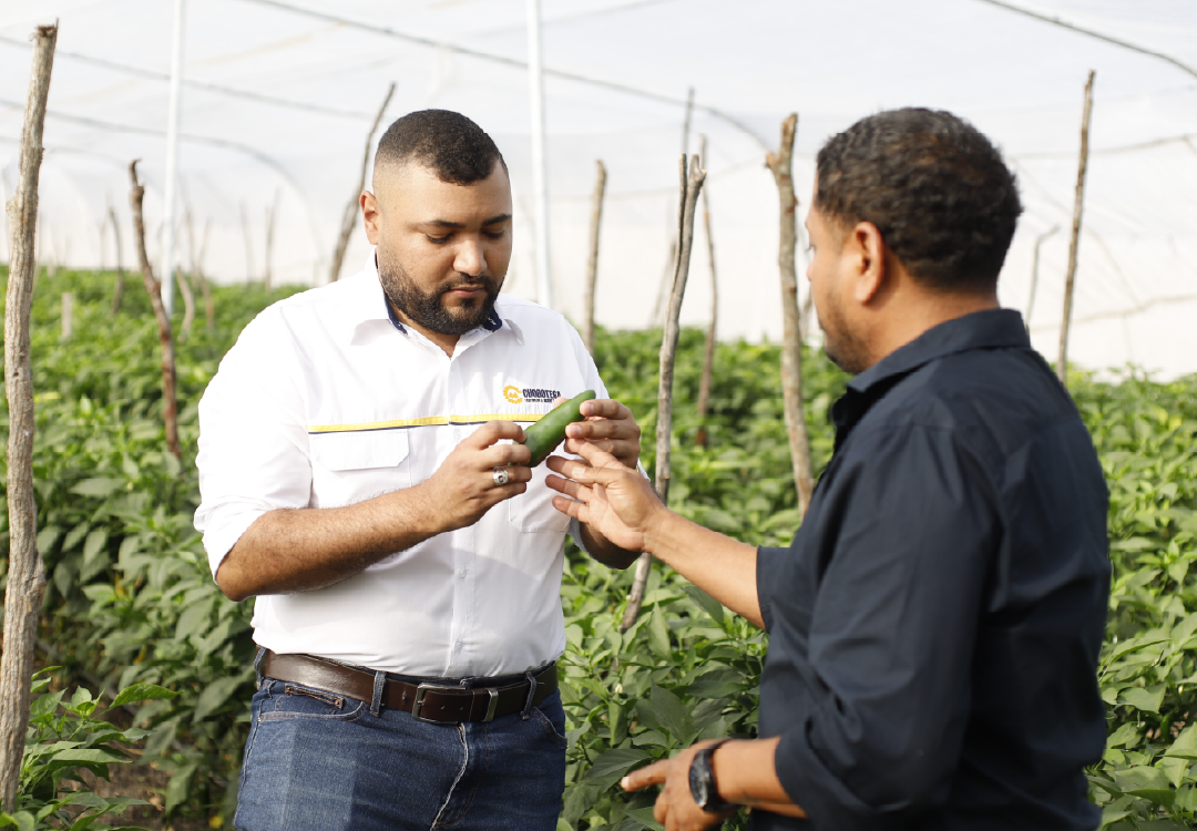 Unidad de Asistencia Técnica 