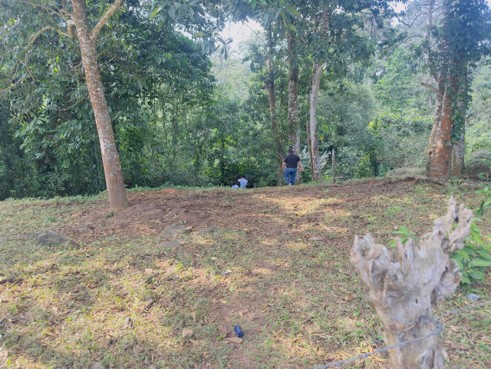 Lote de Terreno, Aldea San Antonio, Santa Cruz de Yojoa, Cortés.