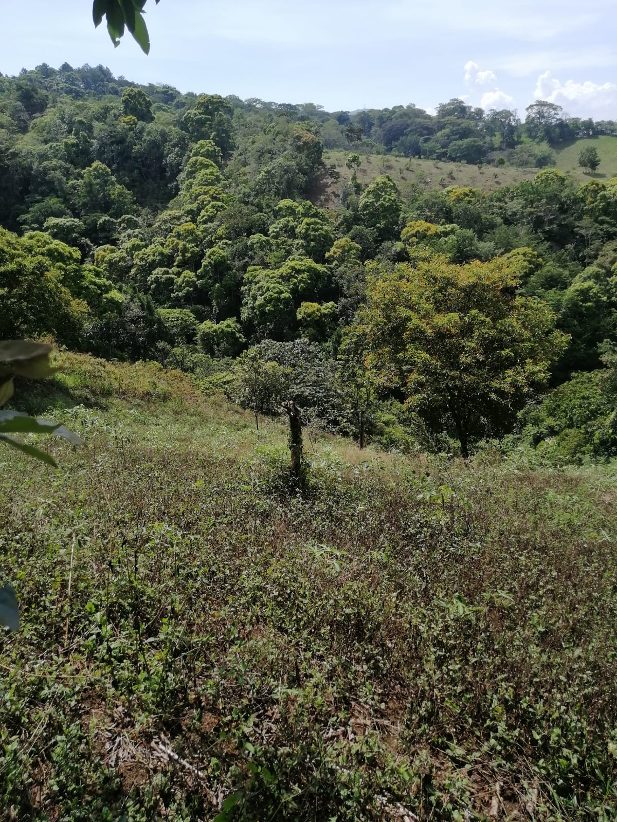 Vista 1