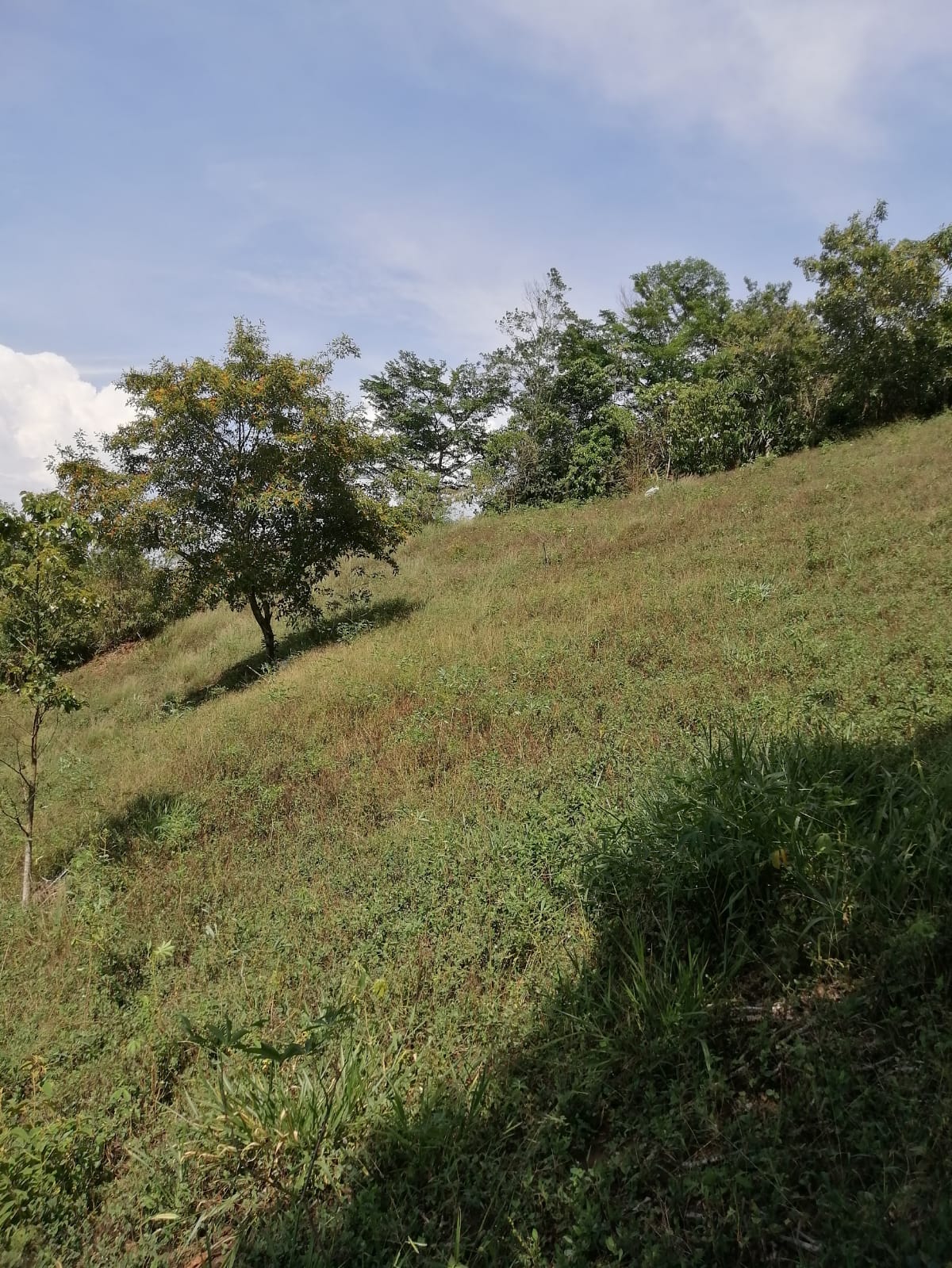 Vista 2