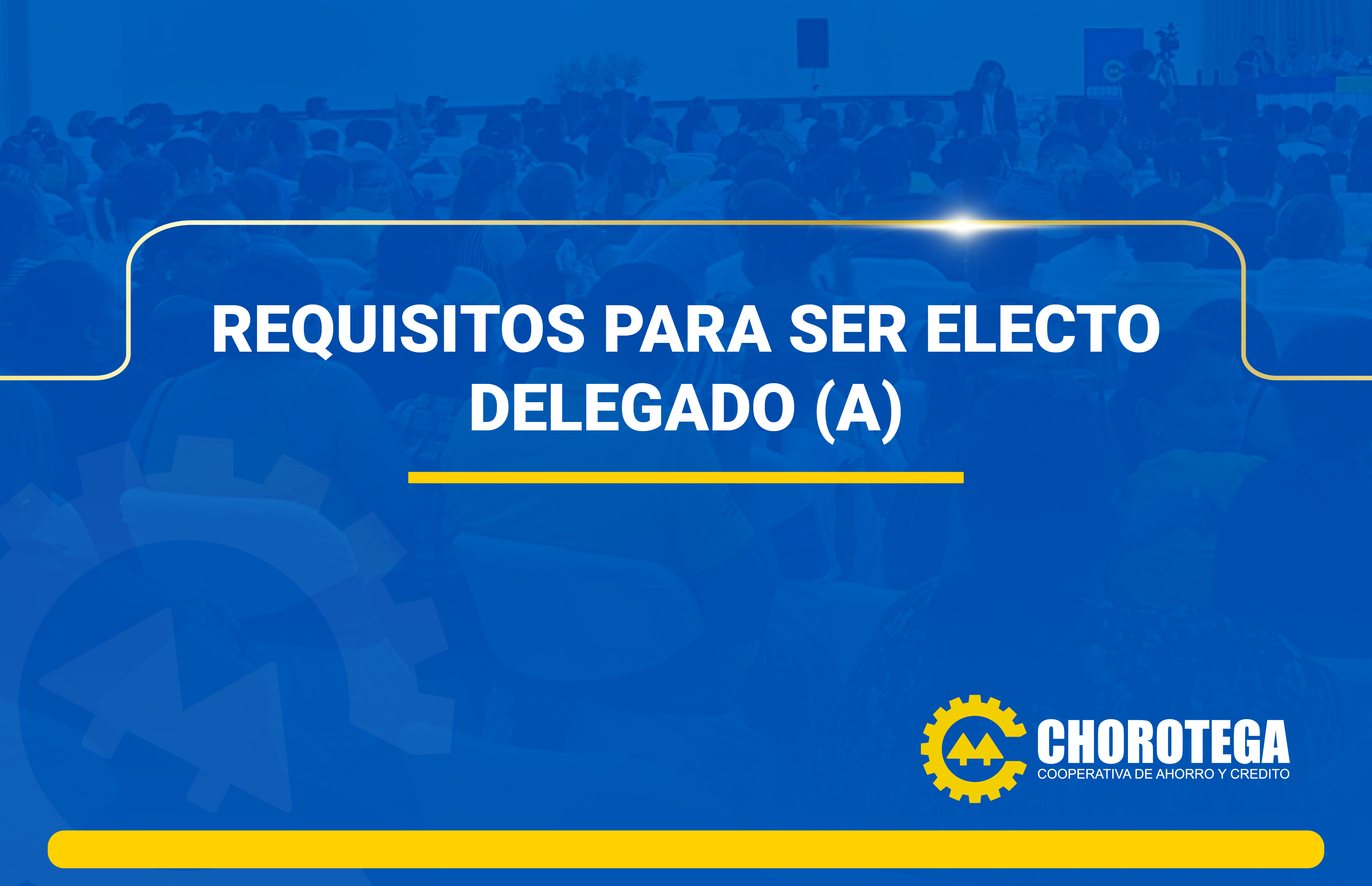 Requisitos para ser delegado