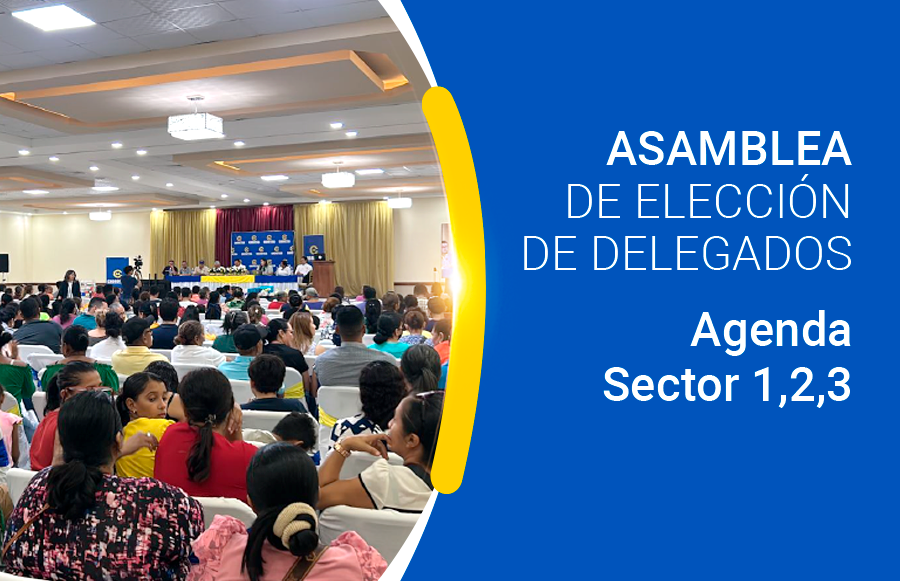 Convocatoria, Agenda, Sector 1,2,3